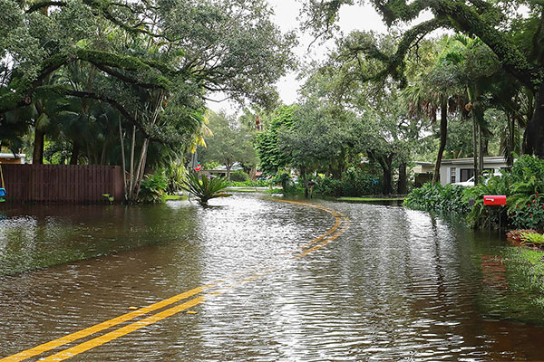 Basics of Flood Insurance