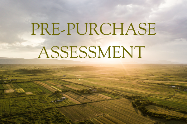Pre-Purchase Assessment